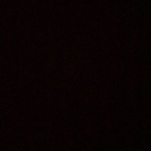 Meet your Posher, Max